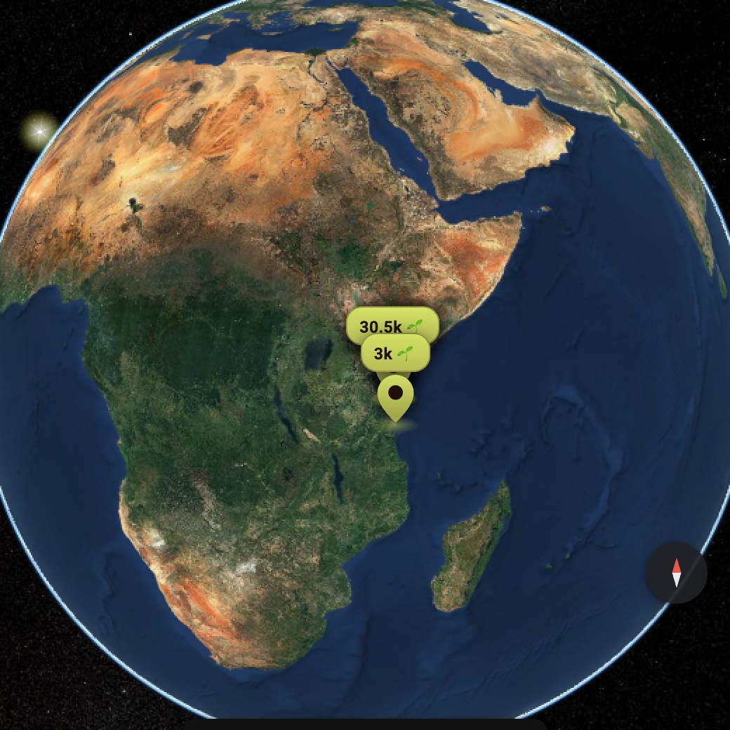 The Treegens Earth globe with planting sites and tree counts pinned along the East African coast